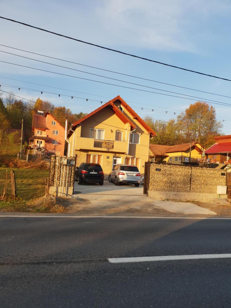 Steluta Villa Calimanesti Exterior photo