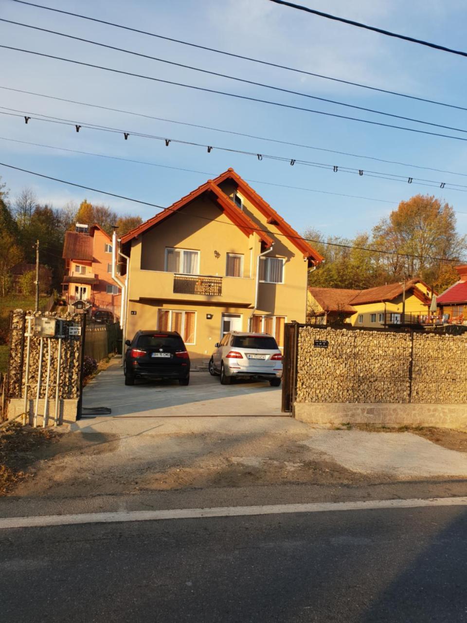 Steluta Villa Calimanesti Exterior photo